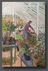 Planting seedlings 60x40cm